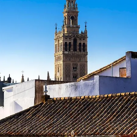 Genteel Santa Teresa